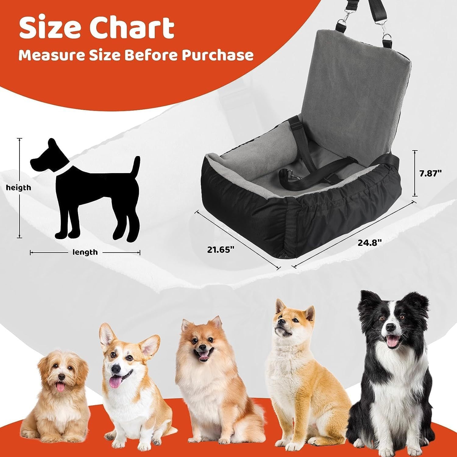 PawPal - size chart