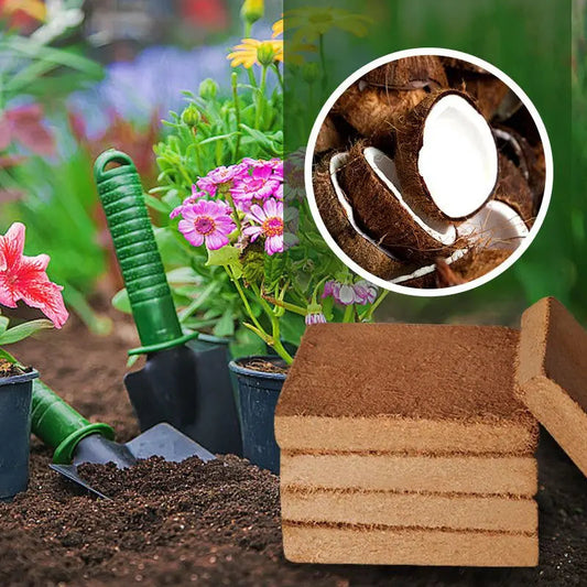 Organic Coconut Coir Brick - Sustainable Growing Medium for Healthy Plants - Organic Coconut Coir Brick Readi Gear