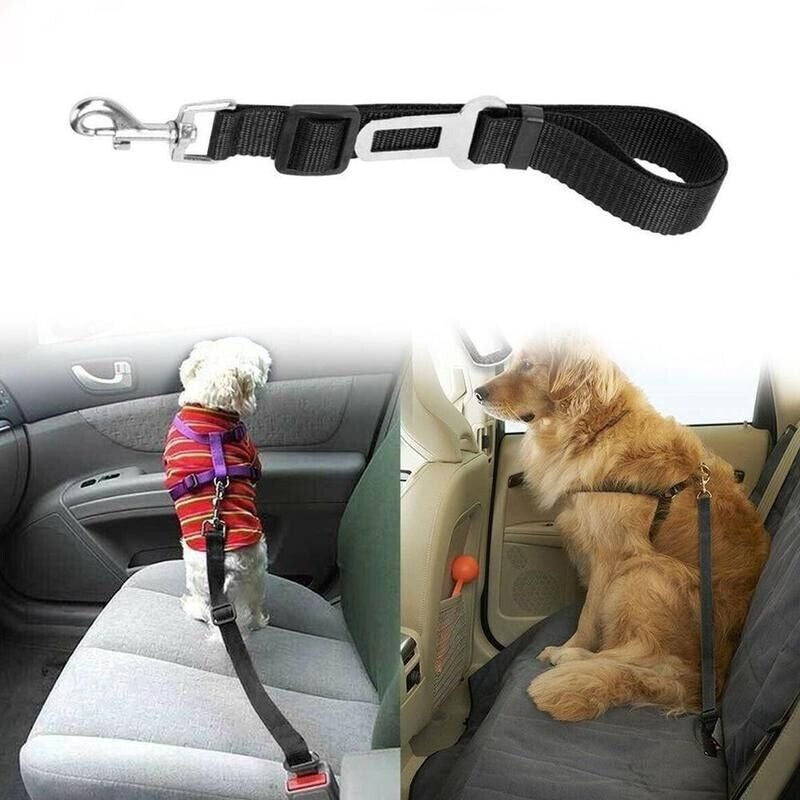 PetSecure Adjustable Seatbelt Harness – Car Safety Lead (2 Pack) - Pet seatbelt harness Readi Gear