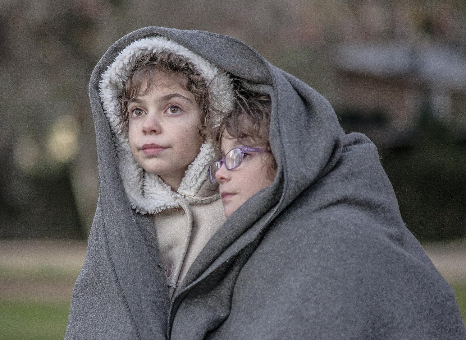 SurvivalShield Wool Blanket - Durable All-Weather Survival Essential - wool blanket Readi Gear