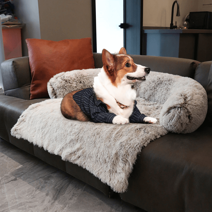Calming Dog Bed & Sofa Cover - Waterproof & Anti-Anxiety Design - dog bed Readi Gear