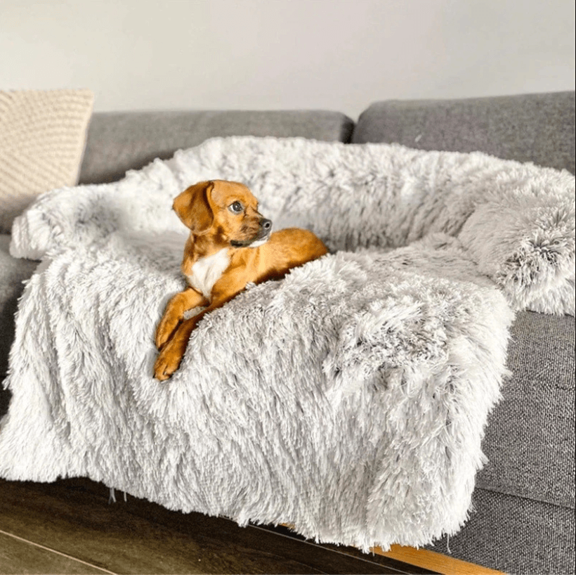 Calming Dog Bed & Sofa Cover - Waterproof & Anti-Anxiety Design - dog bed Readi Gear