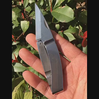 StealthClip Concealed Carry Money Clip Knife