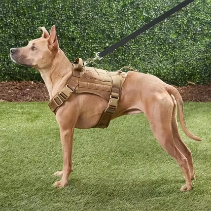 Elite K9 Tactical Dog Harness - MOLLE System & Quick Release - Tactical Dog Harness Readi Gear