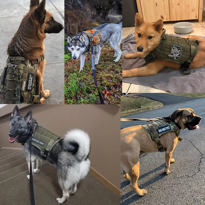 Elite K9 Tactical Dog Harness - MOLLE System & Quick Release - Tactical Dog Harness Readi Gear