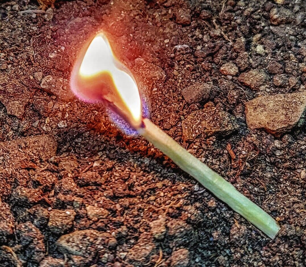 All-in-One Survival Stove Kit - Wood Burning, Fatwood, Matches & More - Survival Stove Kit Readi Gear