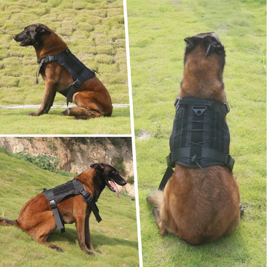 Elite K9 Tactical Dog Harness - MOLLE System & Quick Release - Tactical Dog Harness Readi Gear
