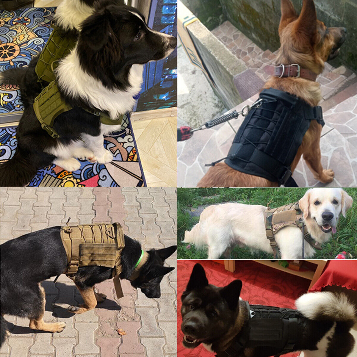 Elite K9 Tactical Dog Harness - MOLLE System & Quick Release - Tactical Dog Harness Readi Gear